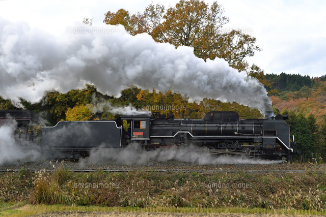煙を上げて走るd51牽引slやまぐち号 の写真素材 イラスト素材 アマナイメージズ