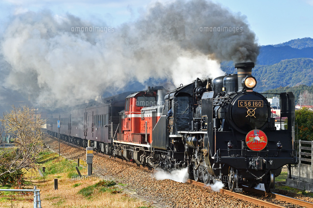 煙を上げて走るC56とDD51重連牽引SL津和野稲荷号[25668004265]の写真