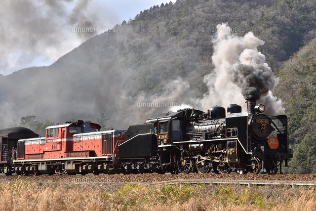 煙を上げて走るC56とDD51重連牽引SL津和野稲荷号[25668004268]の写真