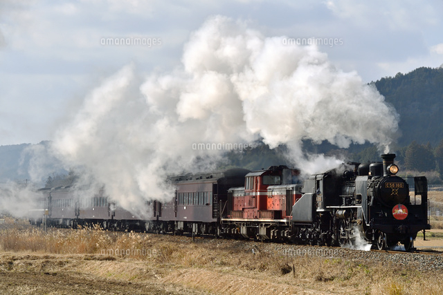 煙を上げて走るC56とDD51重連牽引SL津和野稲荷号[25668004271]の写真