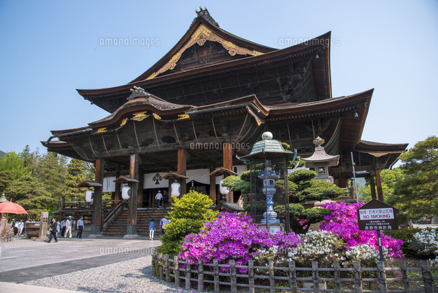 善光寺本堂[25720005211]の写真・イラスト素材｜アマナイメージズ