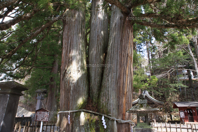 戸隠神社中社御造営記念　真鍮火鉢 戸隠神社中社御造営記念 真鍮火鉢 工芸品