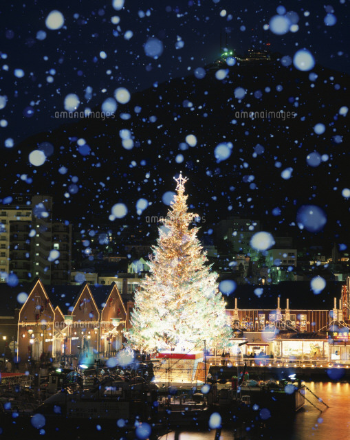 はこだてクリスマスファンタジーのツリーと雪 の写真素材 イラスト素材 アマナイメージズ