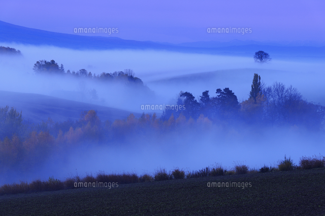 朝霧の丘陵地[25802015228]の写真・イラスト素材｜アマナイメージズ