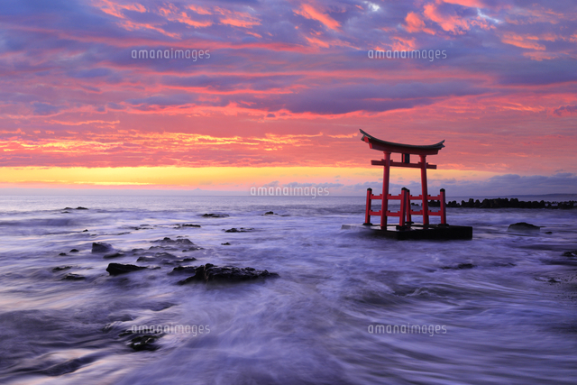 夕焼けの海に立つ鳥居[25802015349]の写真・イラスト素材｜アマナ
