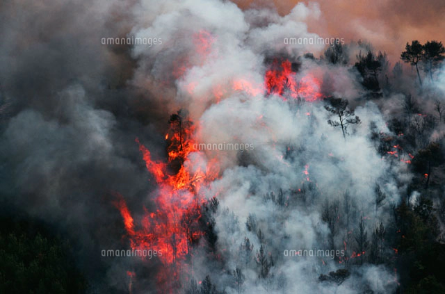 山火事[25833005559]の写真・イラスト素材｜アマナイメージズ