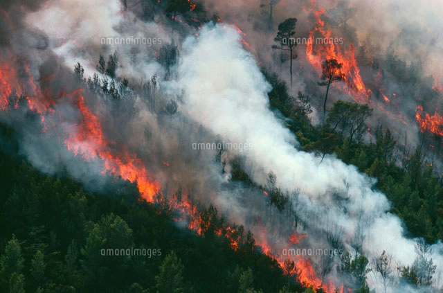 油絵 山火事 火、煙、黒い焦げた木々による山火事。生成型AIイラストの写真