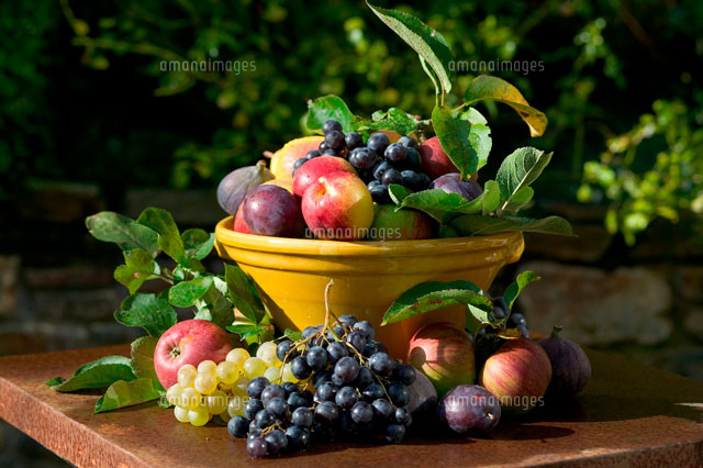 秋の果物の盛合せ の写真素材 イラスト素材 アマナイメージズ