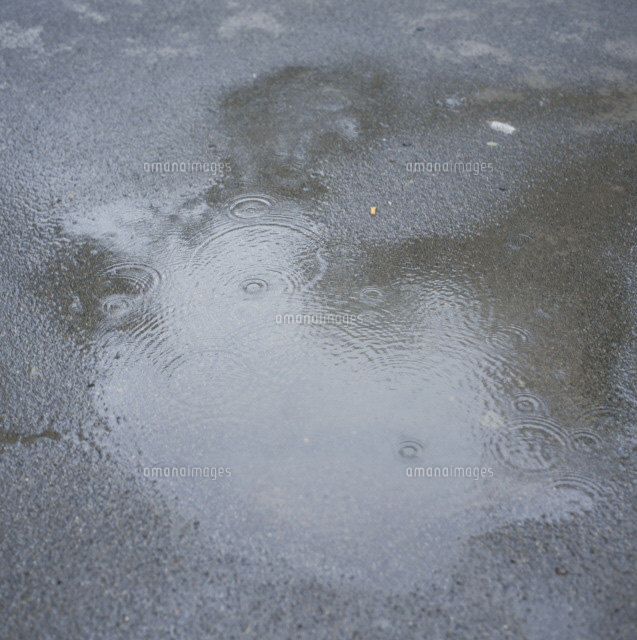 水溜まり様 水溜まり[25851001855]の写真・イラスト素材｜アマナイメージズ