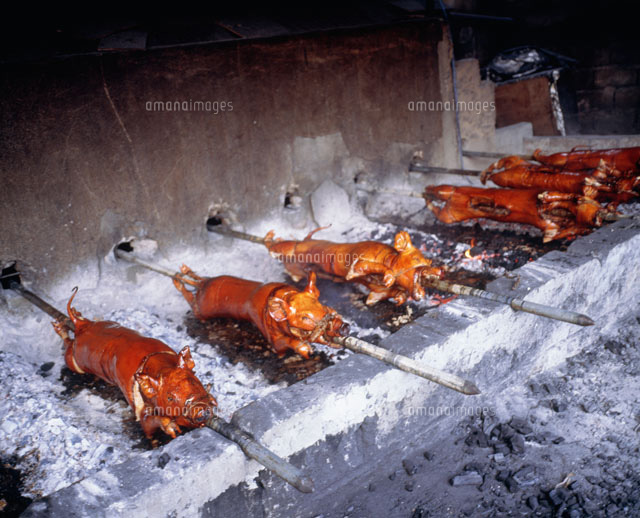 子豚の丸焼き の写真素材 イラスト素材 アマナイメージズ