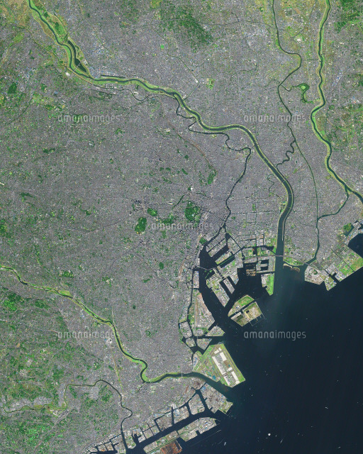 東京23区 鳥瞰図 の写真素材 イラスト素材 アマナイメージズ