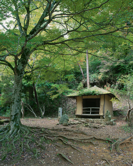 西行庵 吉野山奥千本[25990006972]の写真・イラスト素材｜アマナイメージズ