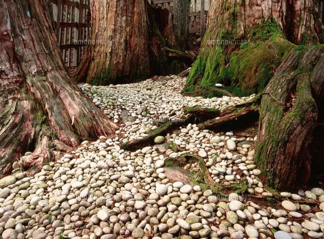 大峯奥駈道 玉置神社玉石社[25990014293]の写真・イラスト素材｜アマナ