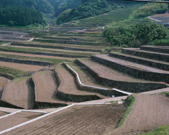 棚田 の写真素材 イラスト素材 アマナイメージズ