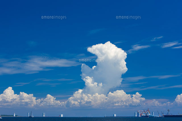 積乱雲の浮かぶ夏空と東京湾[25991001267]の写真・イラスト素材