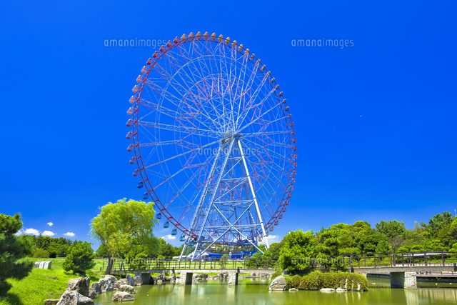 葛西臨海公園の観覧車[25991002850]の写真・イラスト素材｜アマナ