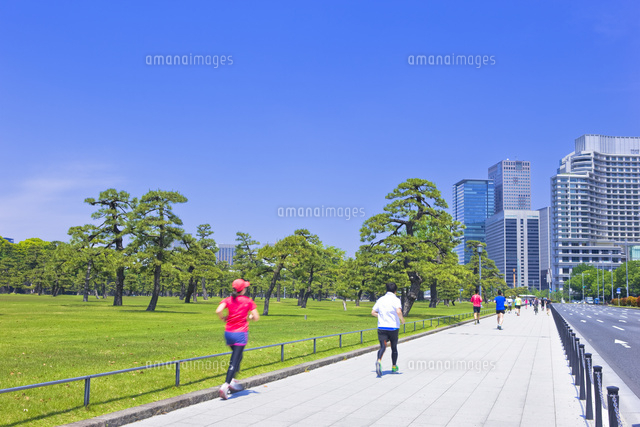 皇居外苑でジョギングをする人々 の写真素材 イラスト素材 アマナイメージズ