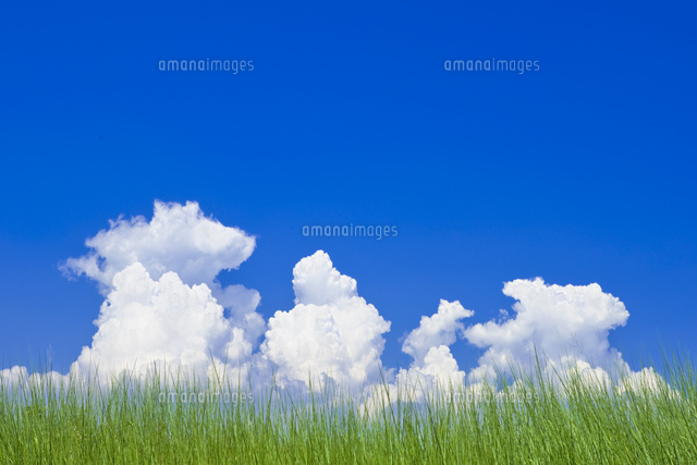 夏空と積乱雲 の写真素材 イラスト素材 アマナイメージズ