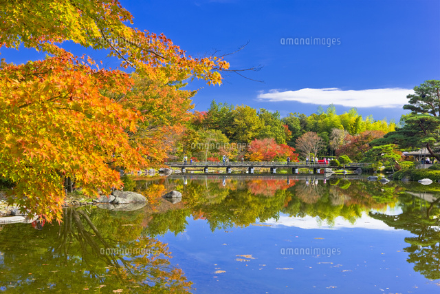 昭和記念公園の紅葉 の写真素材 イラスト素材 アマナイメージズ