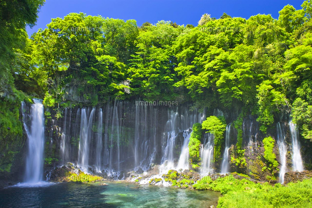 新緑の白糸の滝[25991004663]の写真・イラスト素材｜アマナイメージズ