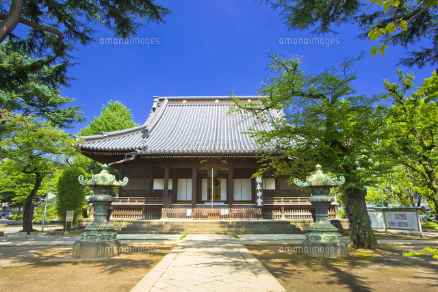 上野の寛永寺 の写真素材 イラスト素材 アマナイメージズ