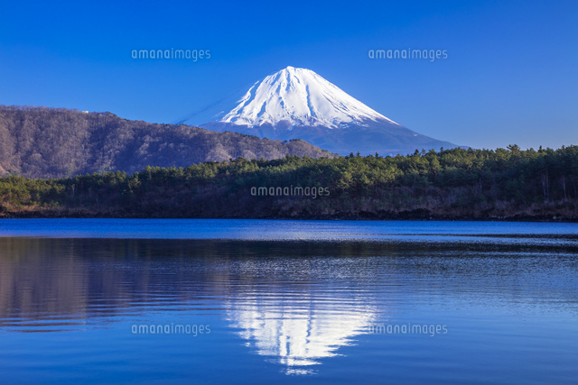 西湖と逆さ富士[25991005824]の写真・イラスト素材｜アマナイメージズ