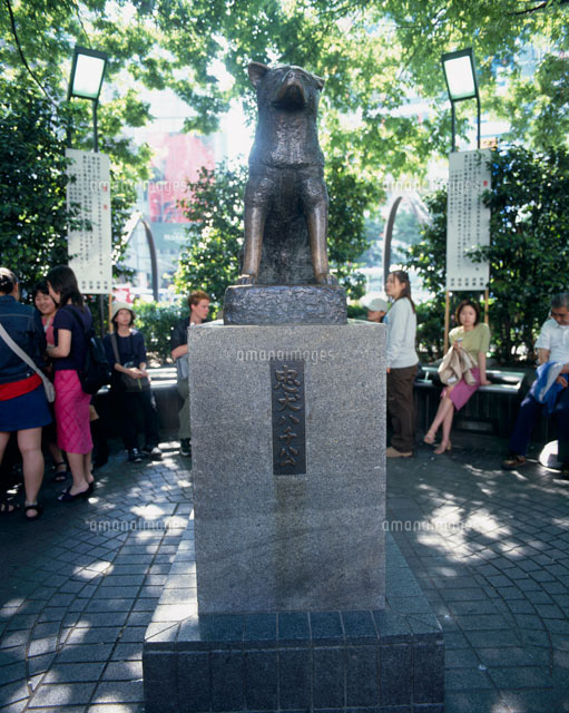 忠犬ハチ公の像 の写真素材 イラスト素材 アマナイメージズ