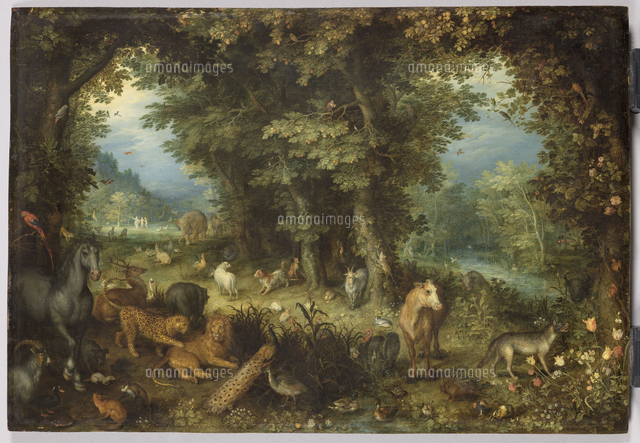 地上の楽園[26004003501]の写真・イラスト素材｜アマナイメージズ