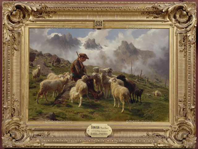 羊たちに塩を与えるピレネーの羊飼い[26004017291]の写真・イラスト