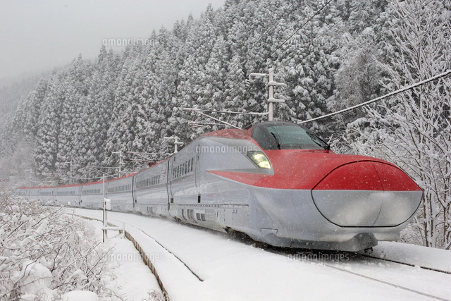 新幹線E6系 秋田新幹線「スーパーこまち」[26028000100]の写真