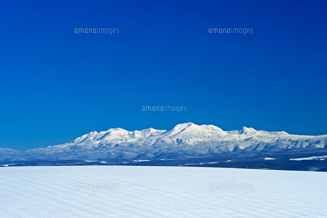 冬の畑と大雪山 の写真素材 イラスト素材 アマナイメージズ