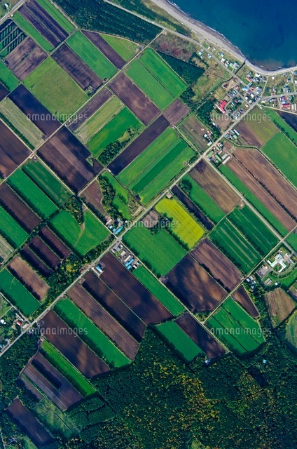 秋の畑斜里町峰浜からオホーツク海 の写真素材 イラスト素材 アマナイメージズ