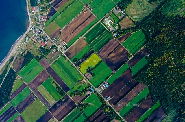 秋の畑斜里町峰浜からオホーツク海 の写真素材 イラスト素材 アマナイメージズ