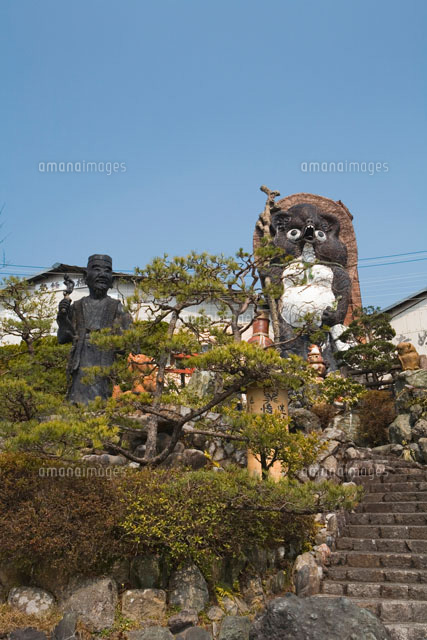狸庵（たぬきや総本家）[26063002989]の写真・イラスト素材｜アマナ