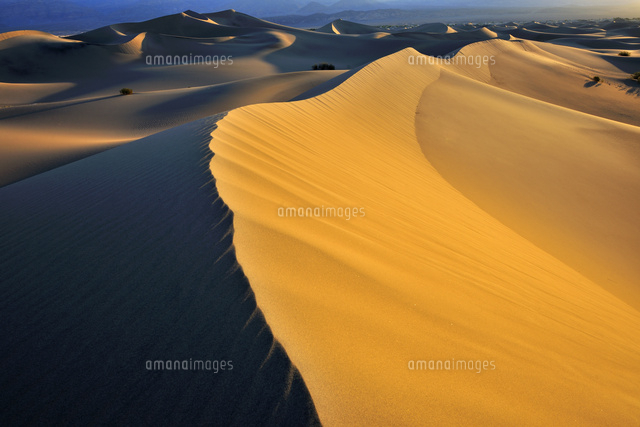 デスバレー国立公園の砂漠 の写真素材 イラスト素材 アマナイメージズ