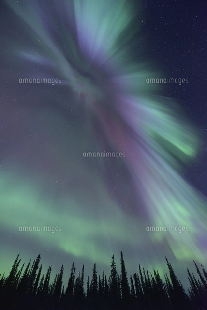 カーテン状のオーロラ の写真素材 イラスト素材 アマナイメージズ