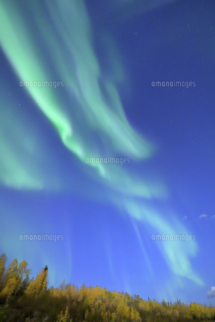 紅葉とオーロラ の写真素材 イラスト素材 アマナイメージズ