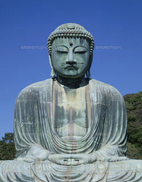 高徳院鎌倉大仏 の写真素材 イラスト素材 アマナイメージズ