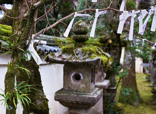 春日大社の石灯籠 の写真素材 イラスト素材 アマナイメージズ