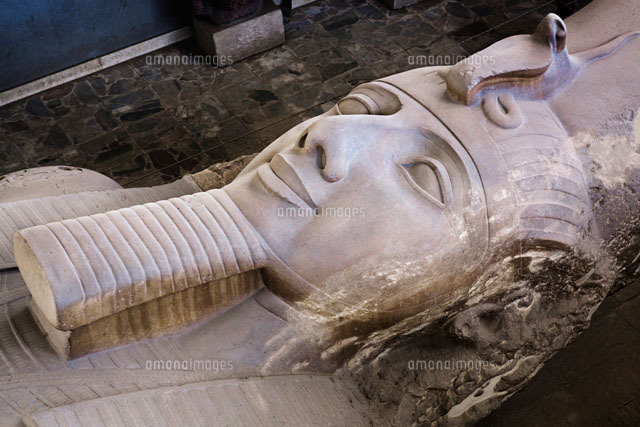 メンフィス博物館のラメセス2世の巨像 の写真素材 イラスト素材 アマナイメージズ