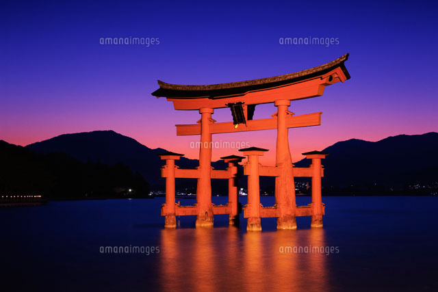 厳島神社の大鳥居の夜景[26095006429]の写真・イラスト素材｜アマナ