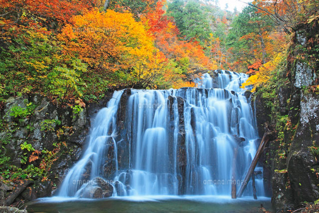 紅葉の立又渓谷の二ノ滝 森吉山[26105004308]の写真・イラスト素材