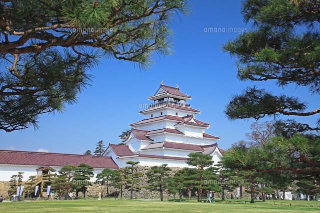 鶴ヶ城と松 の写真素材 イラスト素材 アマナイメージズ