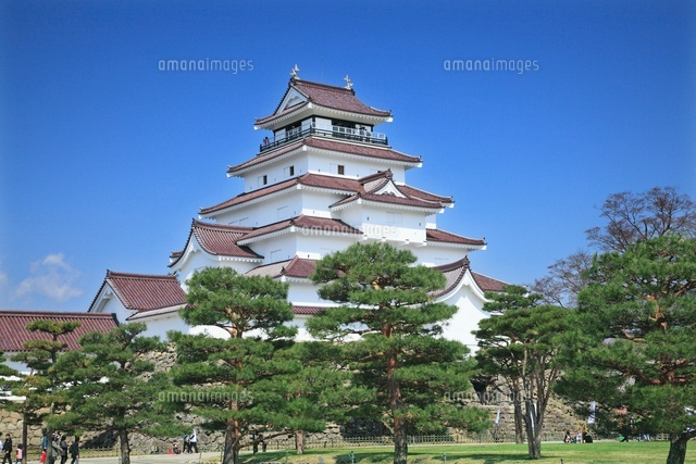 鶴ヶ城と松 の写真素材 イラスト素材 アマナイメージズ