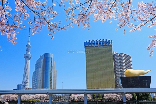 ◉真作保証◉はりたつお◉春の隅田川と東京スカイツリー◉24/300 サイン有り◉ ◉真作保証◉はりたつお◉春の隅田川と東京スカイツリー◉24/300