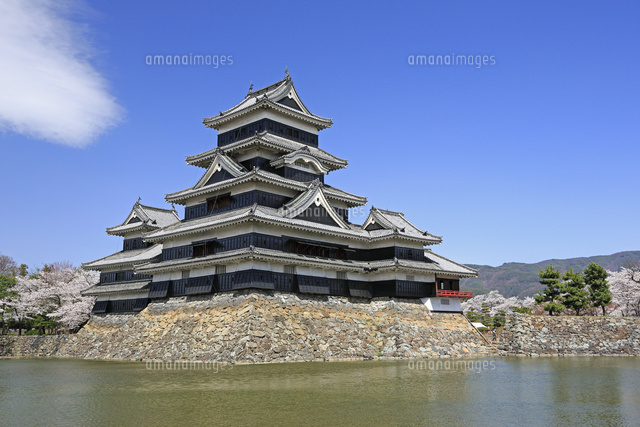 桜と松本城 の写真素材 イラスト素材 アマナイメージズ