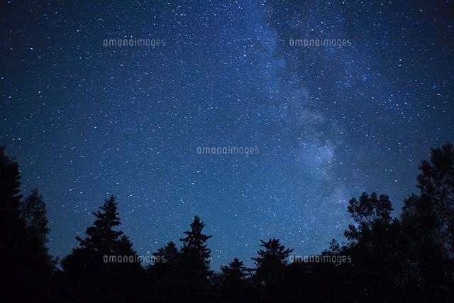 森と星空[26105008999]の写真・イラスト素材｜アマナイメージズ