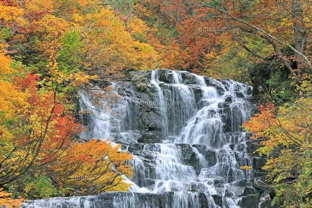森吉山の立又渓谷の紅葉と二ノ滝[26105010470]の写真・イラスト素材