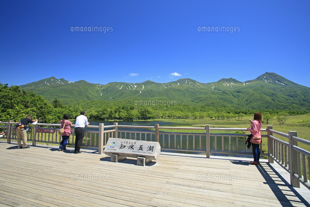 知床五湖高架木道の湖畔展望台から知床連峰[26105011233]の写真