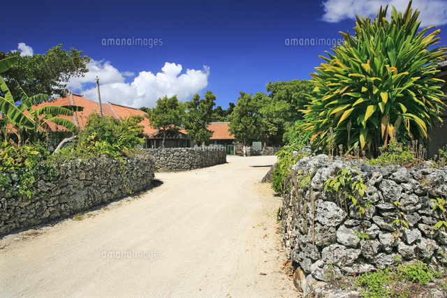 竹富島の石垣と赤瓦屋根の家 の写真素材 イラスト素材 アマナイメージズ